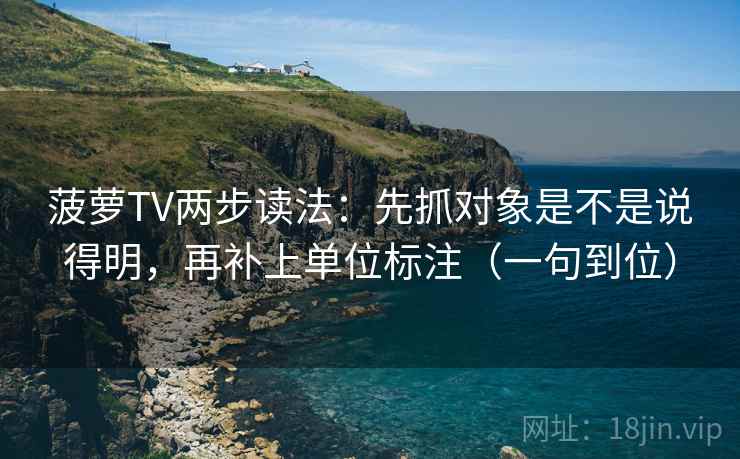 菠萝TV两步读法：先抓对象是不是说得明，再补上单位标注（一句到位）